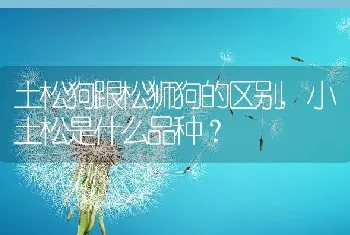 西伯利亚鼯鼠，西伯利亚鼯鼠可以养吗