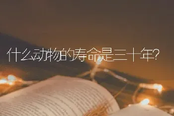 什么动物的寿命是三十年？