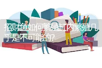 招财鱼如何繁殖缸内繁殖几乎是不可能的？