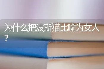 怎样训练成年狗狗室内大小便？