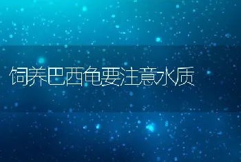 福建宁德：大黄鱼培育技术通过省专家验收