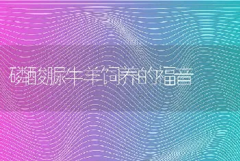 羊脑灰质软化