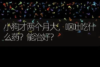 小狗才两个月大，呕吐吃什么药？能治好？