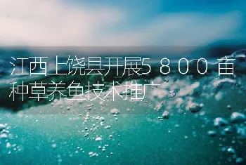 江西上饶县开展5800亩种草养鱼技术推广