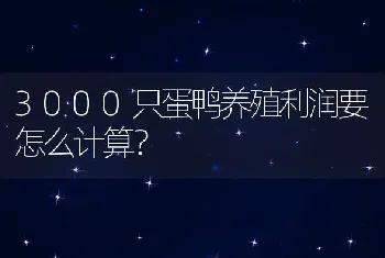 3000只蛋鸭养殖利润要怎么计算？