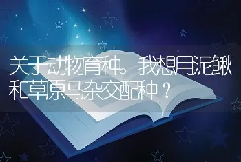 关于动物育种。我想用泥鳅和草原马杂交配种？