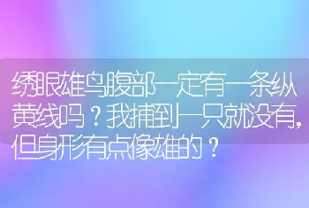 绣眼雄鸟腹部一定有一条纵黄线吗？我捕到一只就没有，但身形有点像雄的？