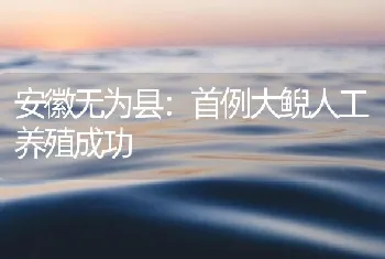 安徽无为县：首例大鲵人工养殖成功