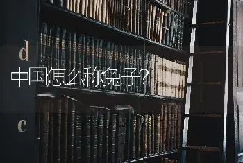 中国怎么称兔子？