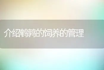 介绍鹌鹑的饲养的管理