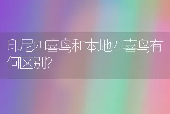 印尼四喜鸟和本地四喜鸟有何区别？