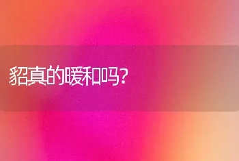 貂真的暖和吗？