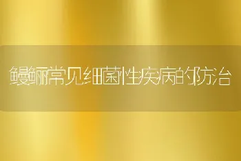 鳗鲡常见细菌性疾病的防治