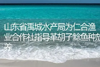 山东省禹城水产局为仁合渔业合作社指导革胡子鲶鱼种放养