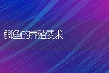 鲫鱼的养殖要求