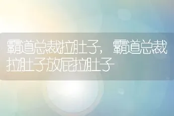 霸道总裁拉肚子，霸道总裁拉肚子放屁拉肚子