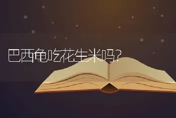 巴西龟吃花生米吗？