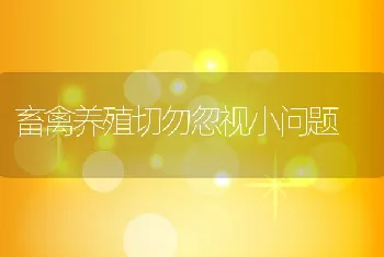 畜禽养殖切勿忽视小问题