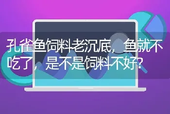 孔雀鱼饲料老沉底，鱼就不吃了，是不是饲料不好？