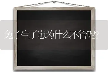 兔子生了崽为什么不管呢？