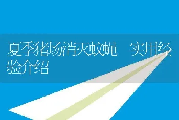 夏季猪场消灭蚊蝇实用经验介绍