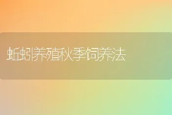 蚯蚓养殖秋季饲养法