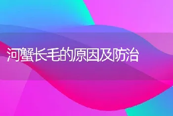 河蟹长毛的原因及防治