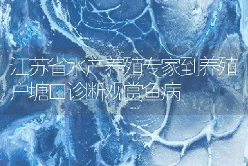 江苏省水产养殖专家到养殖户塘口诊断观赏鱼病