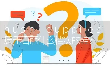 hush puppies属于百丽什么档次的鞋？