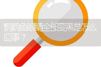 鹦鹉鱼眼睛全部变黑是怎么回事？