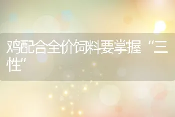 鸡配合全价饲料要掌握三性