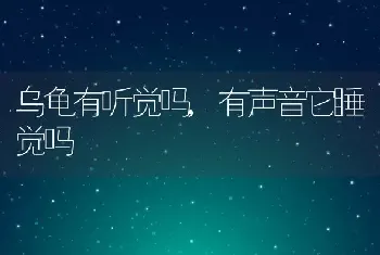 乌龟有听觉吗，有声音它睡觉吗