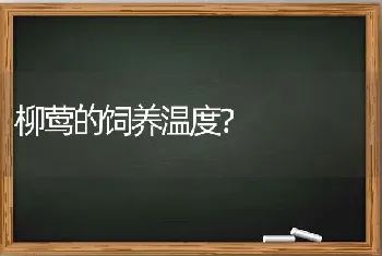 柳莺的饲养温度？