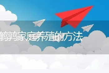 鹌鹑家庭养殖的方法