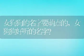 女狗狗的名字要萌点的，女狗狗好听的名字？