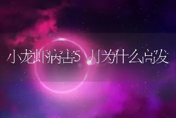 小龙虾病害5月为什么高发