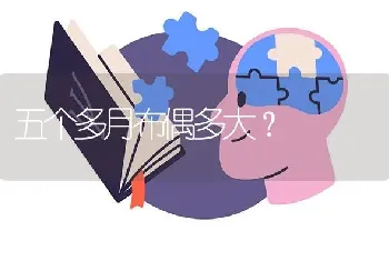 小猫一直叫怎么让它安静下来？