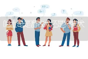 请你吃串串四川话的意思？