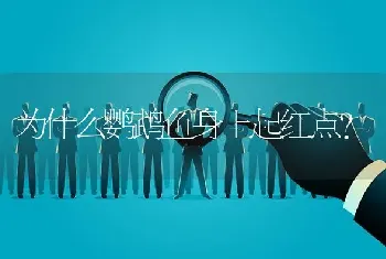 为什么鹦鹉鱼身上起红点？