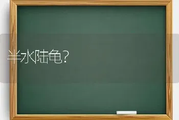 半水陆龟？