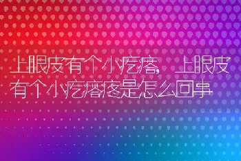 上眼皮有个小疙瘩，上眼皮有个小疙瘩疼是怎么回事