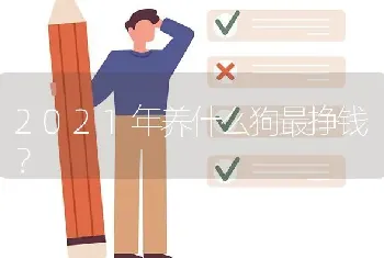 2021年养什么狗最挣钱？