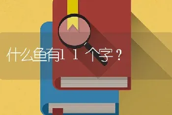 什么鱼有11个字？