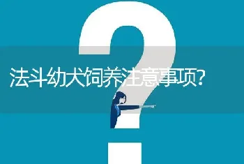 法斗幼犬饲养注意事项？