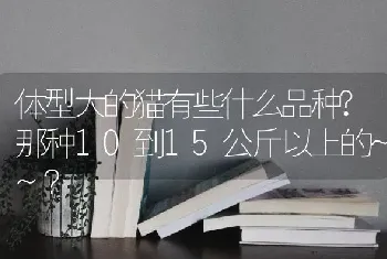 体型大的猫有些什么品种?那种10到15公斤以上的~~？