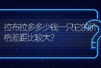 拉布拉多多少钱一只它的价格差距比较大？