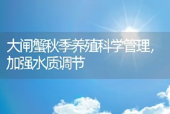 大闸蟹秋季养殖科学管理，加强水质调节