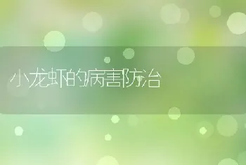 小龙虾的病害防治