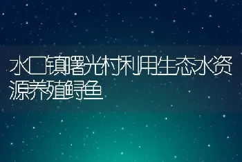 水口镇曙光村利用生态水资源养殖鲟鱼