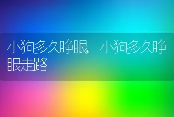 小狗多久睁眼，小狗多久睁眼走路